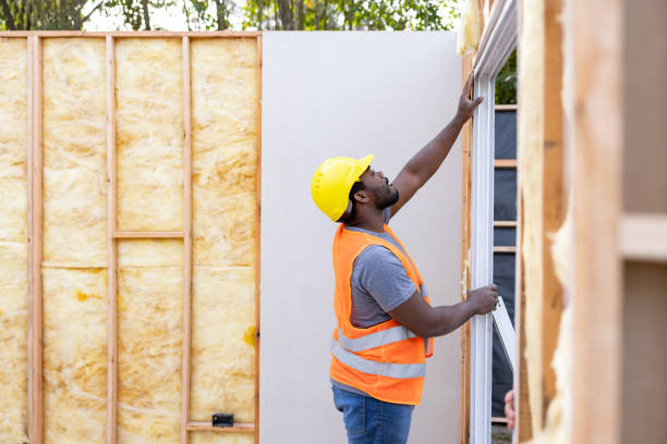 Insulation Replacement Services in Forest Lake, MN