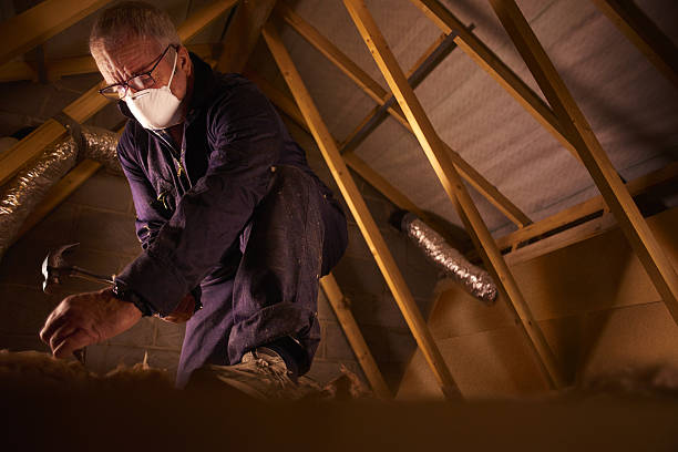 Range of Insulation Solutions in Forest Lake, MN