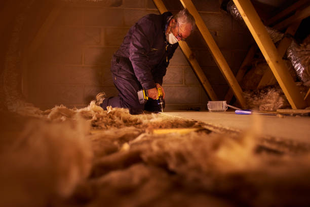 Insulation for New Construction in Forest Lake, MN